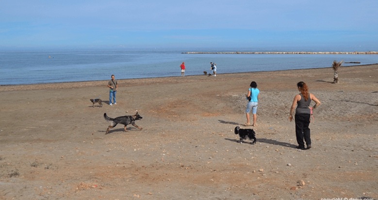 playa-para-perros-denia-escollera-norte